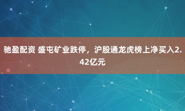 驰盈配资 盛屯矿业跌停，沪股通龙虎榜上净买入2.42亿元