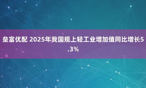 垒富优配 2025年我国规上轻工业增加值同比增长5.3%