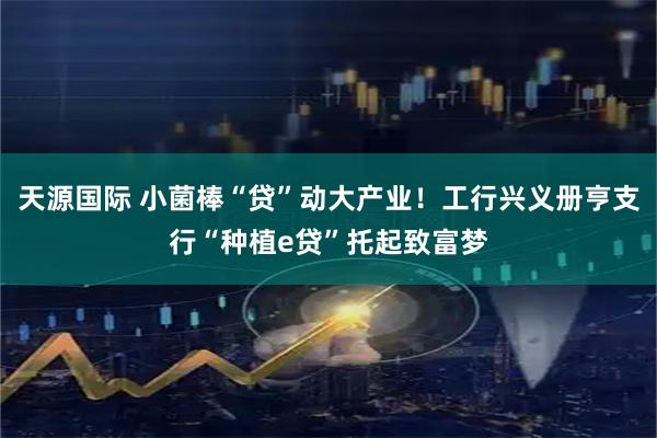 天源国际 小菌棒“贷”动大产业！工行兴义册亨支行“种植e贷”托起致富梦