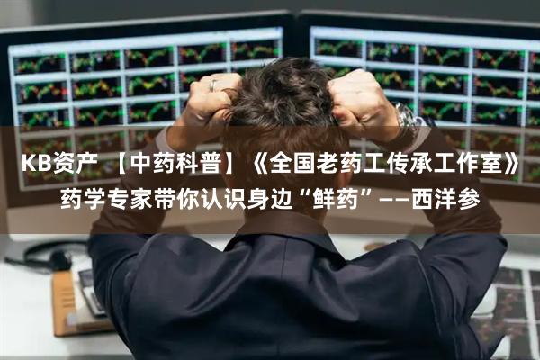 KB资产 【中药科普】《全国老药工传承工作室》药学专家带你认识身边“鲜药”——西洋参