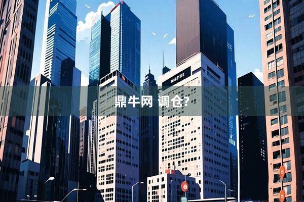鼎牛网 调仓?