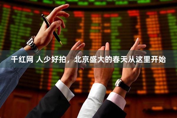 千红网 人少好拍，北京盛大的春天从这里开始