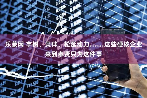 乐蒙网 宇树、灵伴、松延动力……这些硬核企业来到奉贤只为这件事