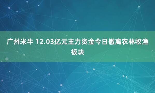 广州米牛 12.03亿元主力资金今日撤离农林牧渔板块