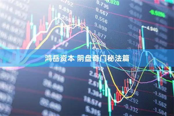 鸿岳资本 阴盘奇门秘法篇