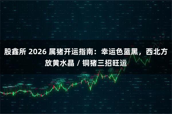 股鑫所 2026 属猪开运指南：幸运色蓝黑，西北方放黄水晶 / 铜猪三招旺运